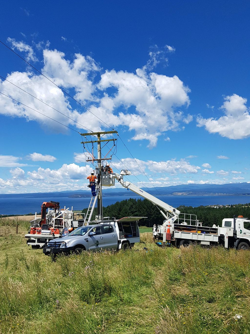 TLC lines crews working in the Kuratau area earlier in 2019